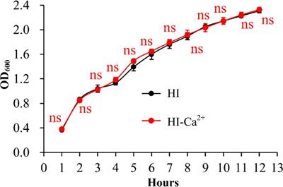 The effect of environmental calcium on gene expression, biofilm formation and virulence of Vibrio parahaemolyticus